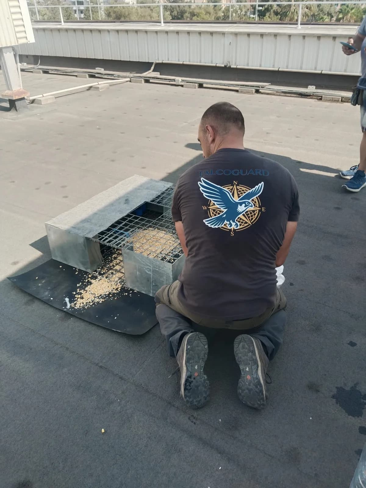 Instalación de jaula de captura en cubierta · Control de palomas · Cubierta industrial · Barcelona