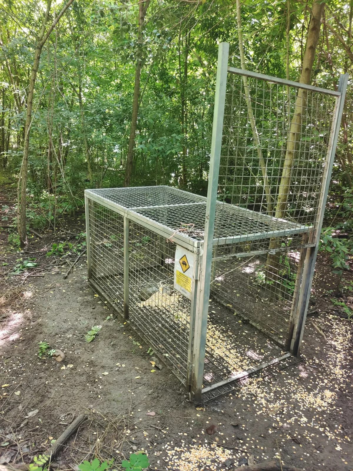 Jaula de captura en zona verde · Control de palomas · Zona arbolada · Barcelona
